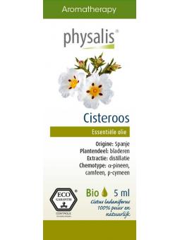 Tea time zoethout thee bio van Damhert