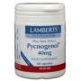 Pijnboombast extract (Pycnogenol 40mg) van Lamberts