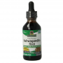 Natures Answer Ashwagandha Extract Alcoholvrij (60 ml) van Natures Answer