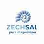 Zechsal Pure Magnesium bad kristallen (750gram) van Zechsal