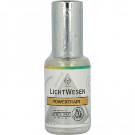 Gember & bitterstoffen extract alcoholvrij van Natures Answer