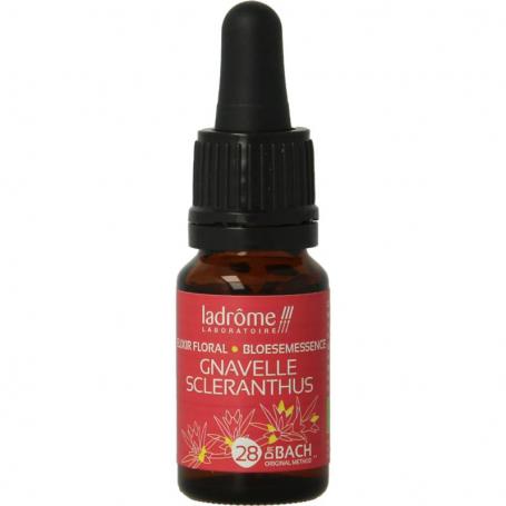 Scleranthus / hardbloem bio van Ladrome