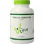 Tribulus terrestris 500mg groen van Vitiv