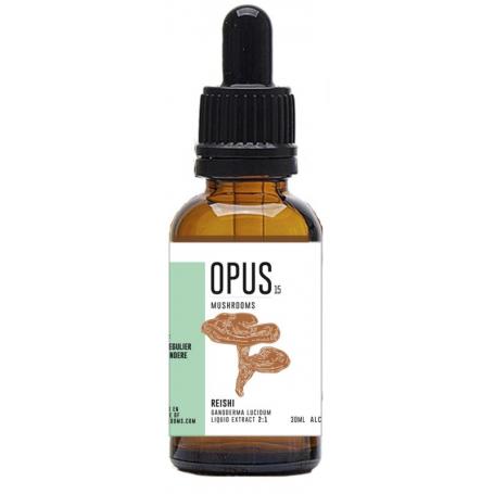 Reishi 2:1 bio van Opus Mushrooms