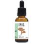 Reishi 2:1 bio van Opus Mushrooms