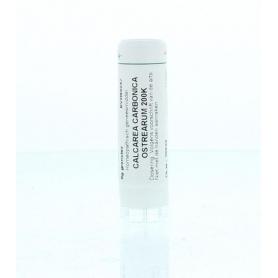 Sanguinaria canadensis D30 van Homeoden Heel