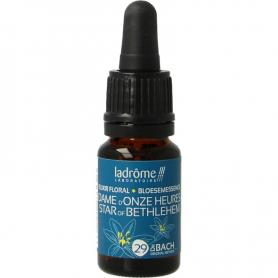 Ribes nigrum bio van GO