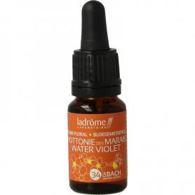 Pompoenpitolie 1000mg van Nova Vitae