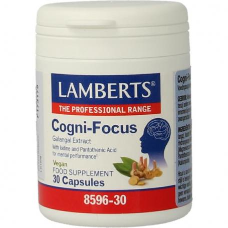 Cogni-focus van Lamberts