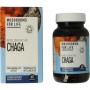 Chaga bio van Mushrooms F Life