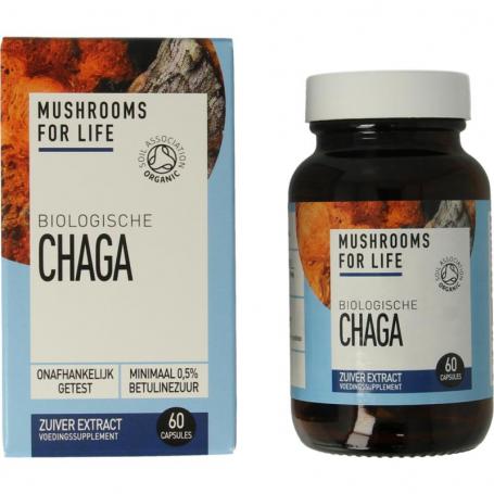 Chaga bio van Mushrooms F Life