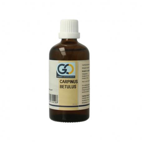 Carpinus betulus bio van GO