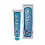 Toothpaste aquatic mint van Marvis