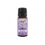 Wasparfum lavender van Waft