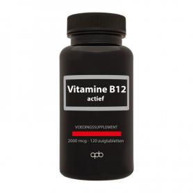 Royal Green Vitamine D3 bio (60 capsules) van Royal Green