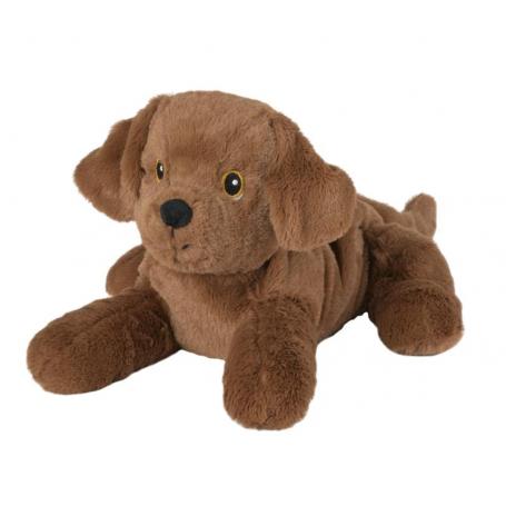 Labrador puppy van Warmies