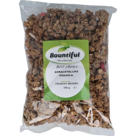 Ambachtelijke granola krunchy bessen van Bountiful