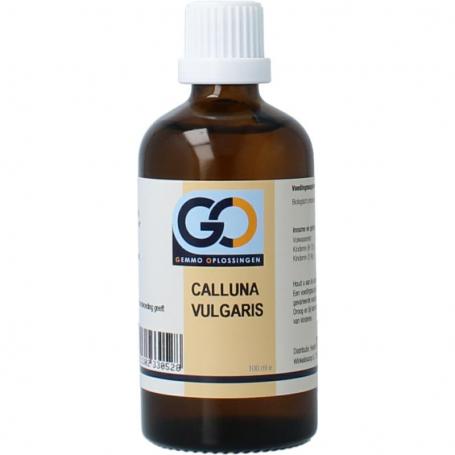 Calluna vulgaris bio van GO