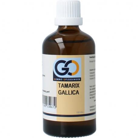 Tamarix gallica bio van GO