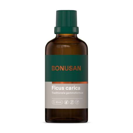 Bonusan Ficus carica (50 ml) van Bonusan
