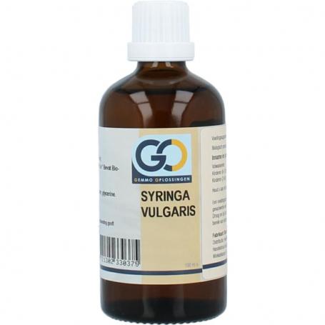 Syringa vulgaris bio van GO