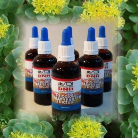 Rhodiola tinctuur van Dr B