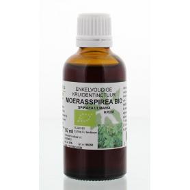 Salix alba / wilgenbast tinctuur bio van Cruydhof