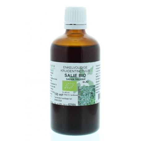 Salvia triloba fol / salie tinctuur bio van Cruydhof