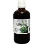 Sambucus nigra / gewone vlier bio van Cruydhof