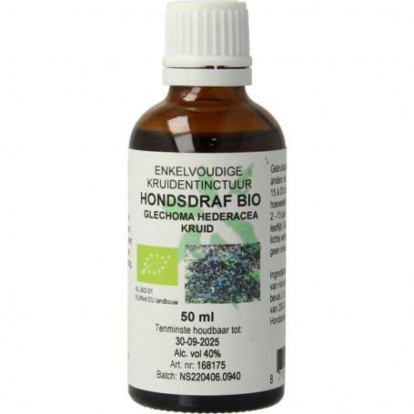 Glechoma hederacea/hondsdraf bio van Cruydhof
