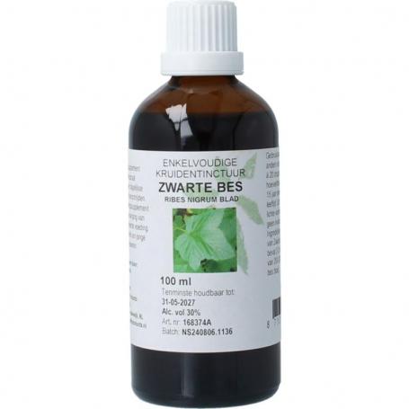 Ribus nigrum & zwarte bes van Cruydhof