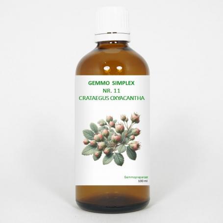 Gemmo simplex 11 crataegus oxyacantha van Balancepharma