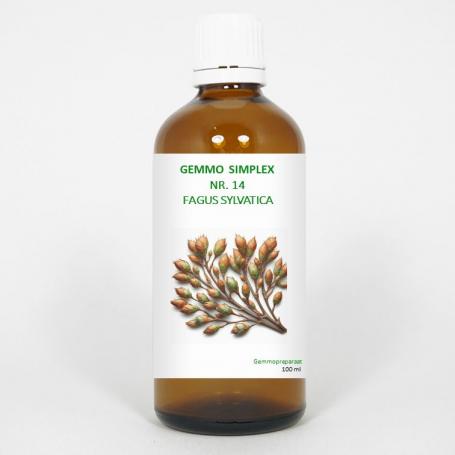 Gemmo simplex 14 fagus sylvatica van Balancepharma