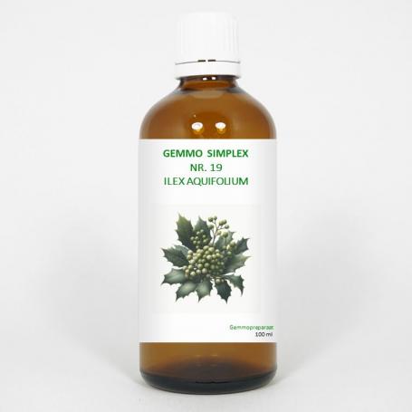 Gemmo simplex 19 ilex aquifolium van Balancepharma