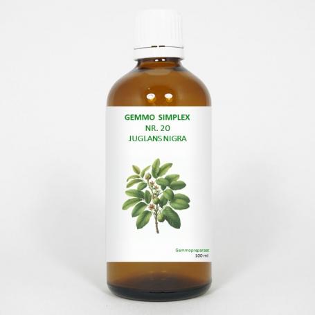 Gemmo simplex 20 juglans nigra van Balancepharma