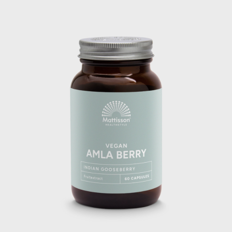 Mattisson Absolute amla berry extract 500mg (60 capsules) van Mattisson
