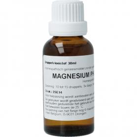 Sempervivum tectorum D6 van Homeoden Heel