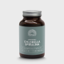 Organic chlorella spirulina 500mg bio van Mattisson