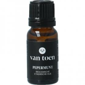 Tijm wild van Volatile