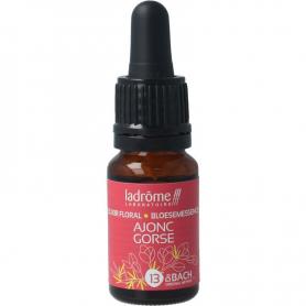 Aesculus hippocastanum bio van GO