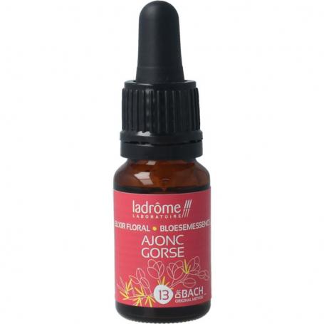 Gorse bio van Ladrome