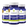 3x Vitakruid Q10 Ubiquinol 100mg (60 capsules) van Vitakruid