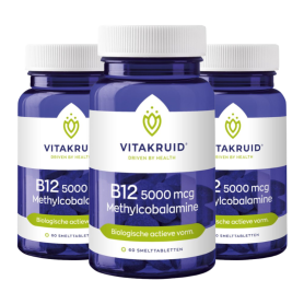 2x Vitakruid B12 5000 mcg methylcobalamine (60 smelttabletten) van Vitakruid