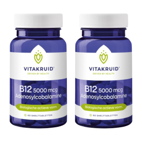 Vitalize Vitamine B12 energie forte (100 tabletten) van Vitalize