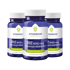 Vitakruid B12 Combi 6000, folaat & P-5-P (120 zuigtabletten) van Vitakruid