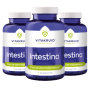 3x Vitakruid Intestina (120 tabletten) van Vitakruid