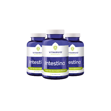 3x Vitakruid Intestina (120 tabletten) van Vitakruid