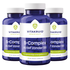 Vitakruid Magnesium junior (90 kauwtabletten) van Vitakruid