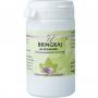 Bringraj van Ayurveda