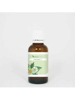Hericium extract bio van Hanoju